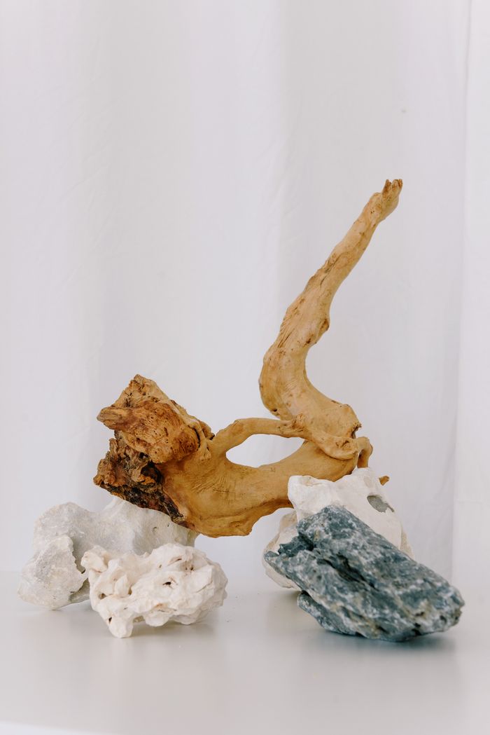 Aesthetic display of driftwood and rocks on a white backdrop, creating a serene and minimalist composition.